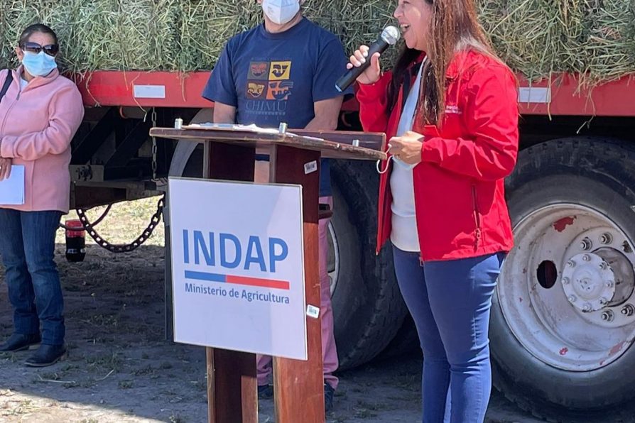 Entrega de ayuda agricultores en la provincia de Talagante.