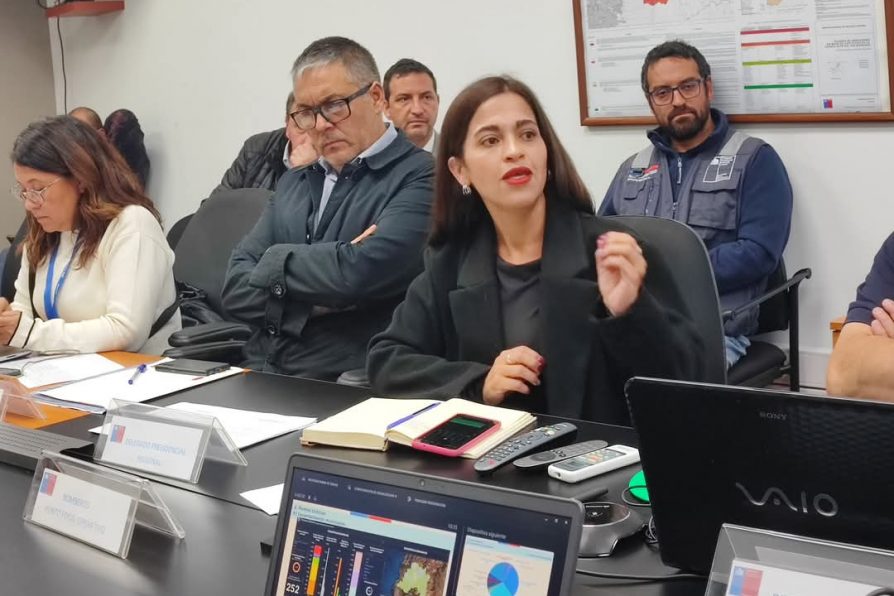Delegada Stephanie Duarte participa en COGRID para reforzar acciones preventivas ante el invierno 2025 en la Región Metropolitana
