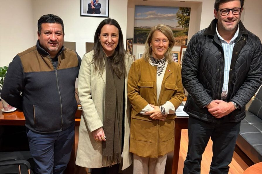 Autoridades coordinan acciones para abordar deuda previsional de docentes en Isla de Maipo
