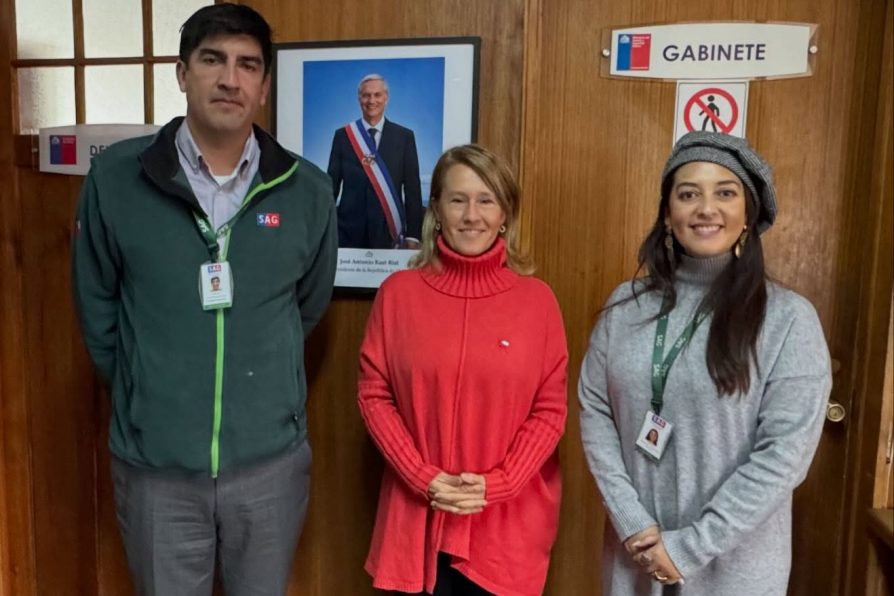 Delegada Presidencial se reúne con Director (s) del Servicio Agrícola y Ganadero para fortalecer la prevención ante emergencias