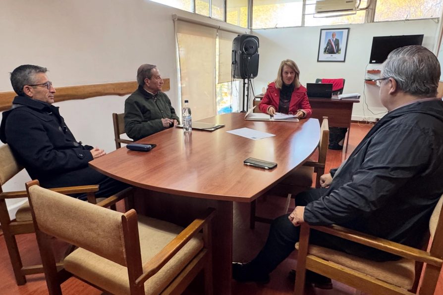 Delegada Presidencial Annemarie Müller lidera reunión con empresas de transporte para abordar mejoras en el servicio provincial