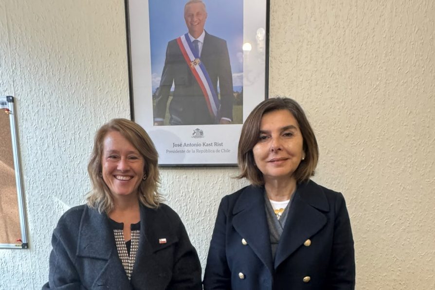 Delegada Presidencial Provincial coordina trabajo conjunto con la nueva Directora Provincial de Educación