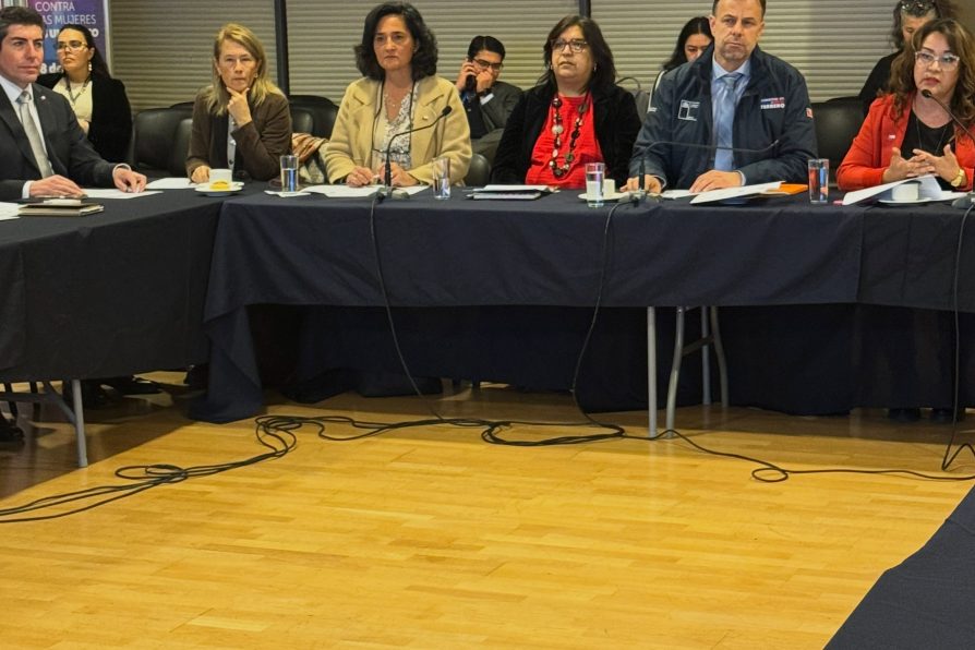 SEREMI de la Mujer constituye Política Regional para la Igualdad y Equidad de Género 2026-2030