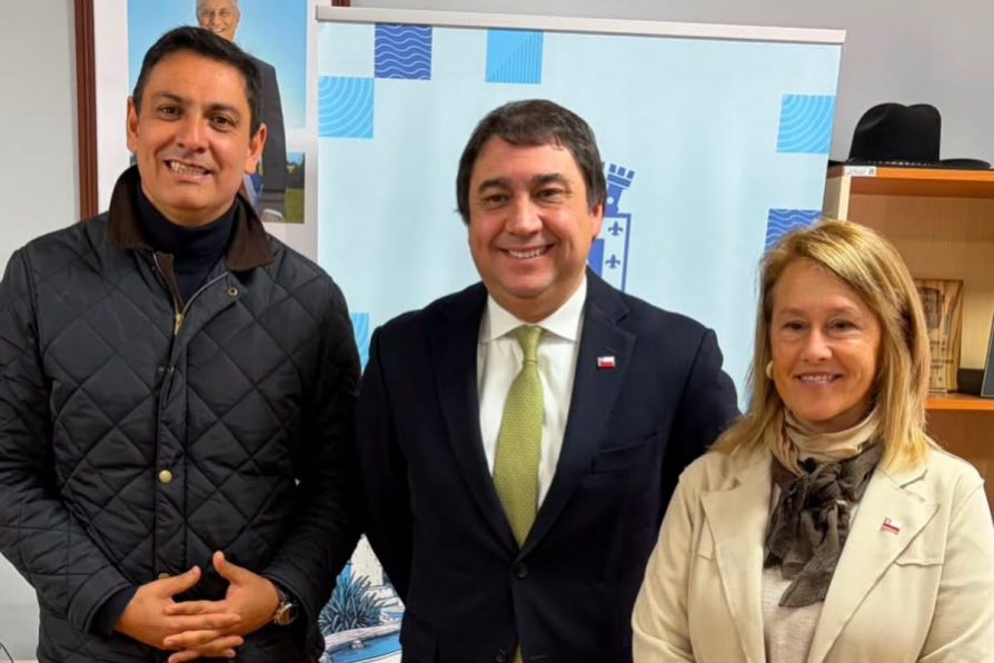 Autoridades abordan necesidades del sector cultural y artístico de Peñaflor