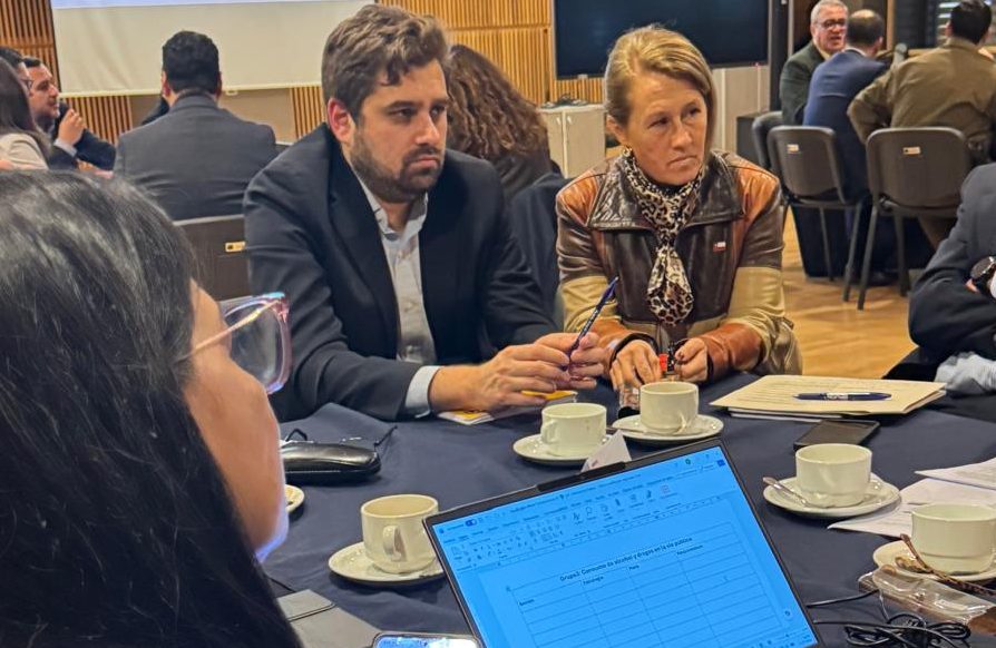 Delegada Presidencial Provincial de Talagante participó en Comité Técnico Operativo de Seguridad Pública y Prevención del Delito 2026